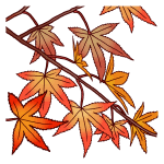 yamanashi103