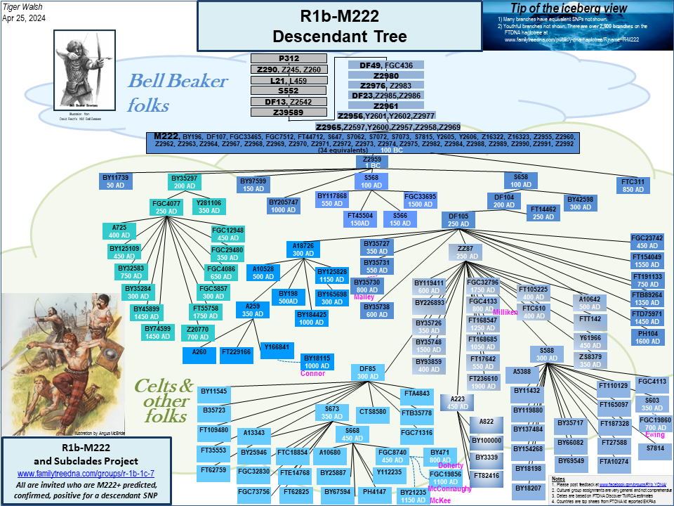 R1b-M222 Descendant Tree