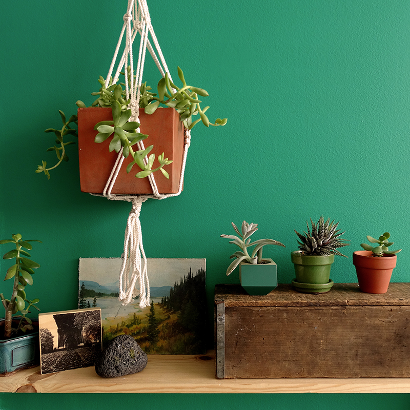 Colorful Collections: Wall Color THRIVE .06 by Colorhouse