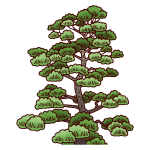fukui103