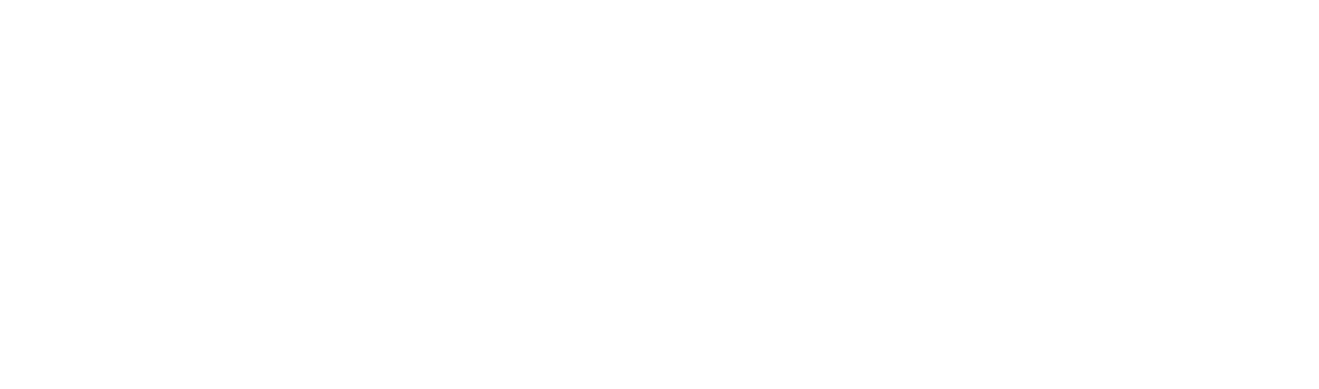 Название работы
