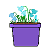 blue%20flowers%2001.png
