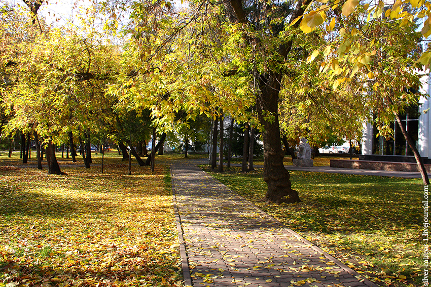 Осенний Новосибирск Фото