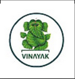 Vinayak Vidyapeeth, Meerut