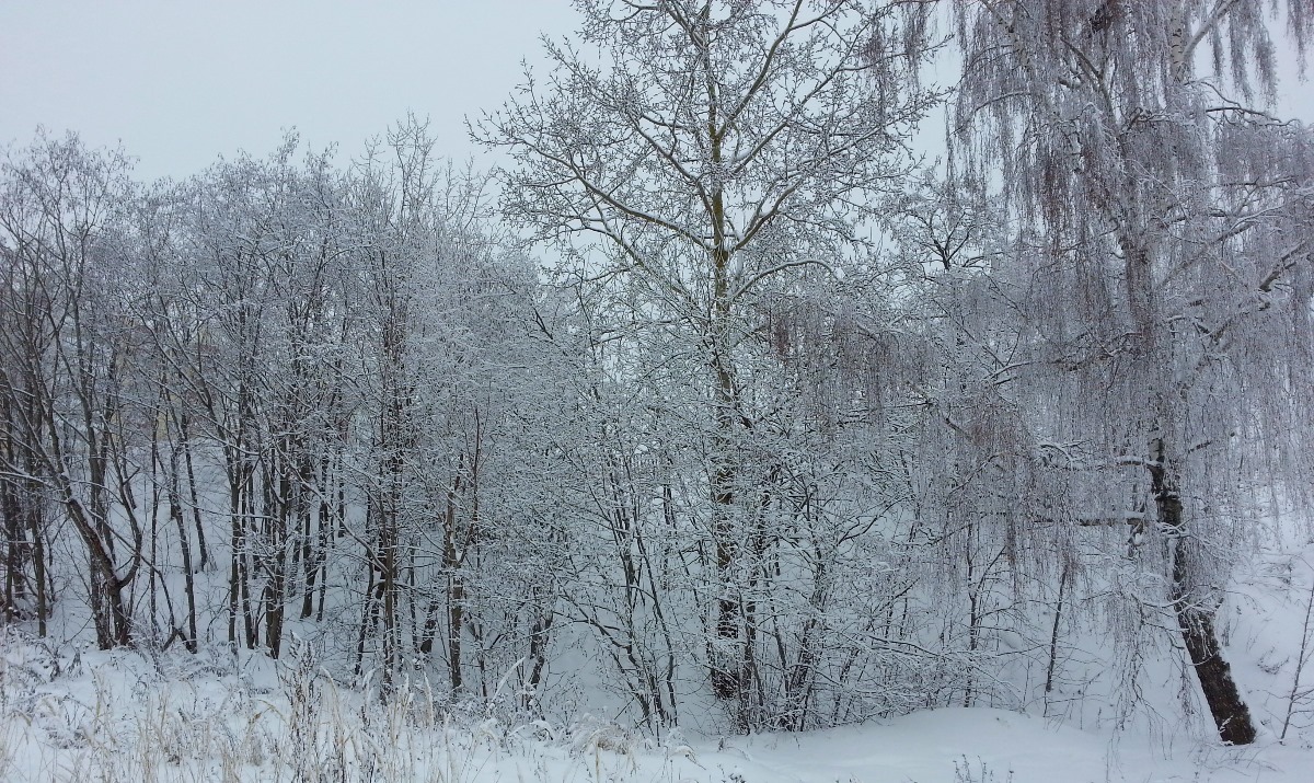 зима, Смоленск
