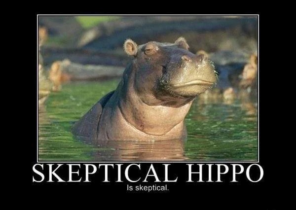 Skeptical%20Hippo.jpg