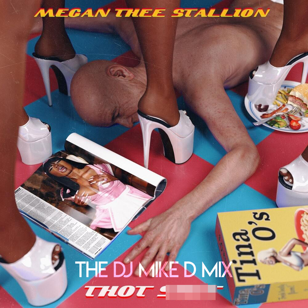 Megan Thee Stallion - Thot Shit (DJ Mike D Mix)