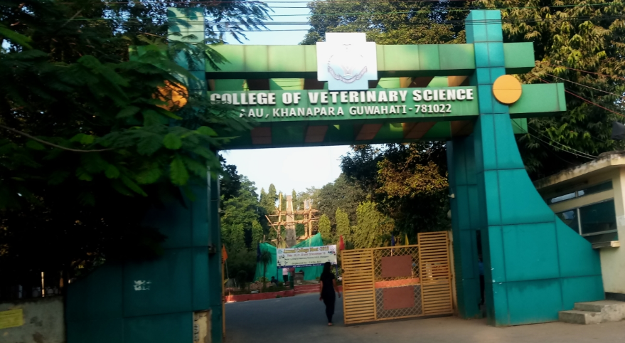 College of Veterinary Science, Khanapara Image
