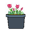 pink%20flower%2001.png