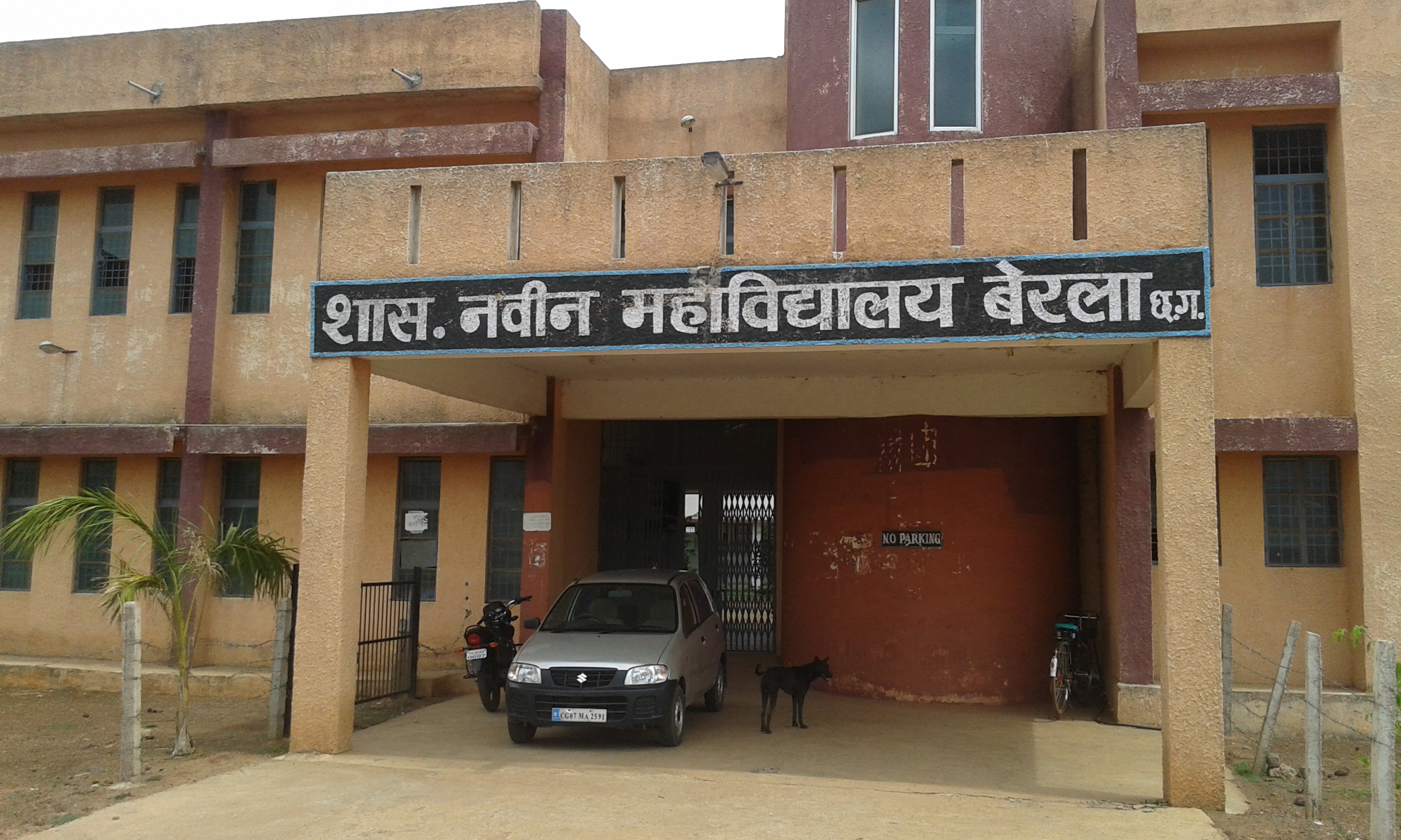 Government Naveen College, Berla Image