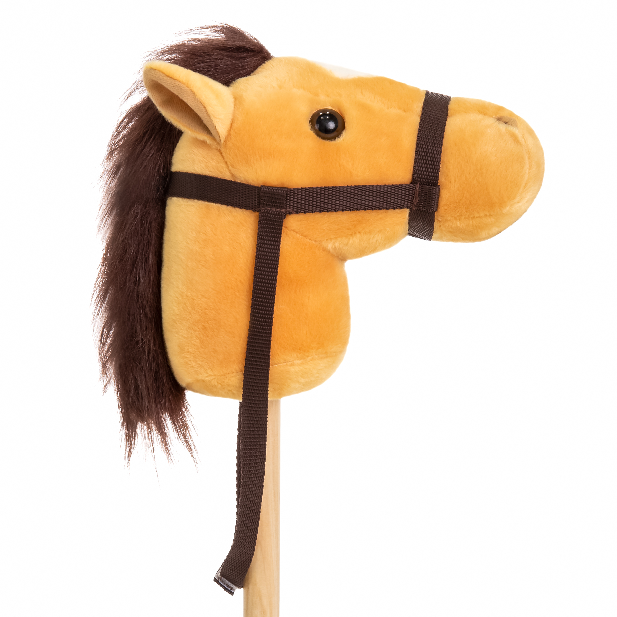 horse and stick