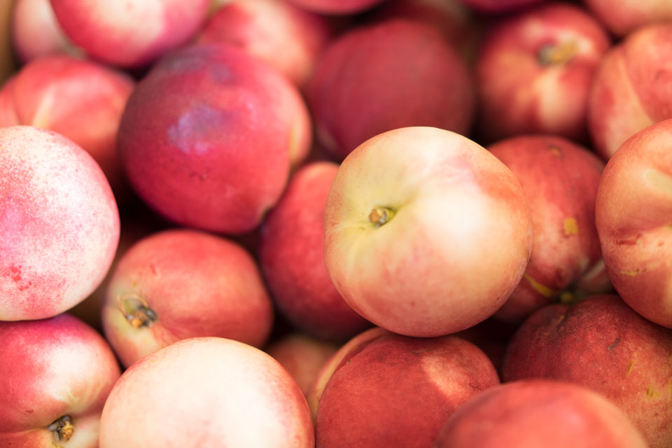 First Fruits, LLC Fresh tree fruit produce from East Wenatchee, WA