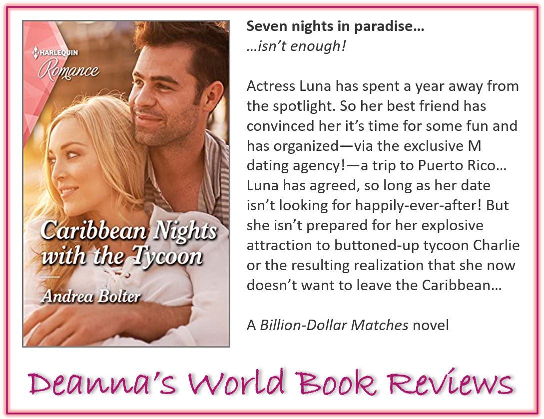 Caribbean Nights With The Tycoon by Andrea Bolter blurb