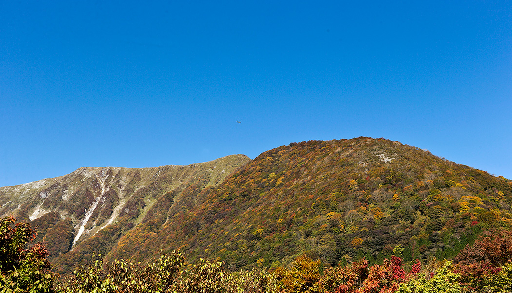 紅葉(山)