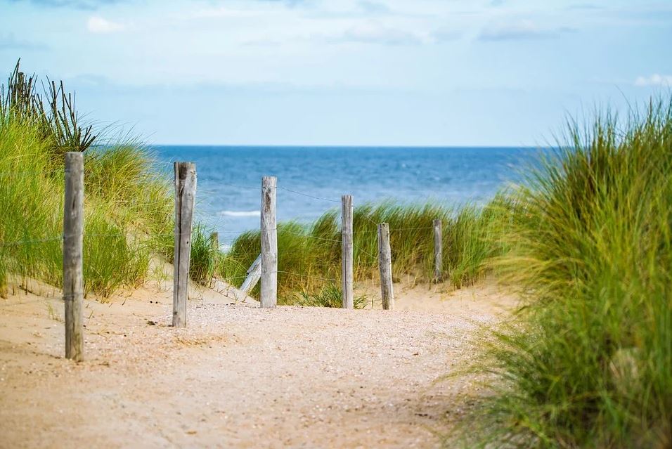 Beach with fence