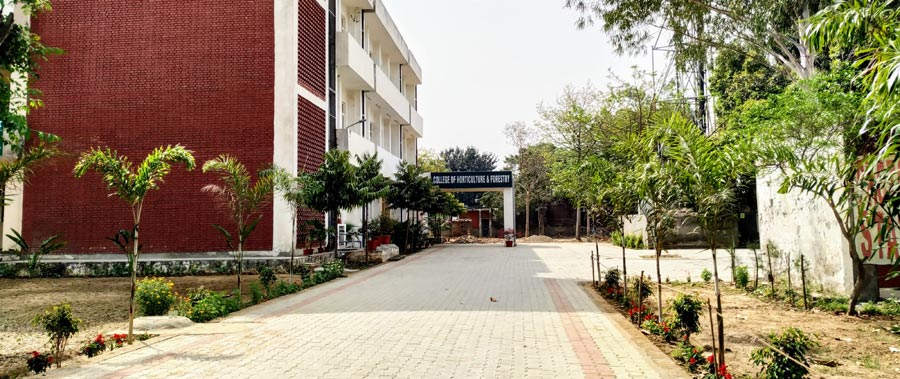 College of Horticulture and Forestry, Punjab Agricultural University, Ludhiana Image