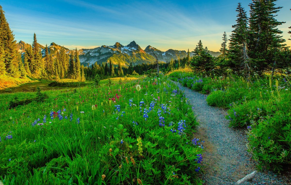 mountain-trails