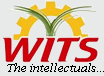 Warangal Institute Of Technology And Science