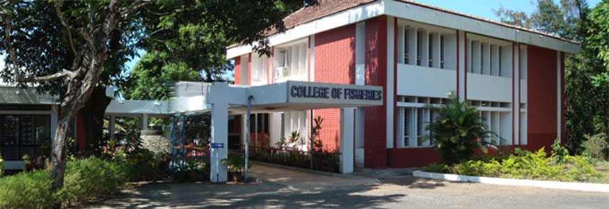 Fisheries College, Kankanady, Mangaluru Image