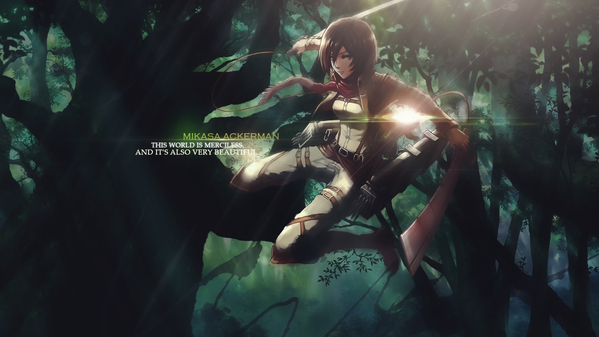 Wallpaper Attack On Titan 409 Shingeki no Kyojin, Mikasa Ackerman, anime, anime girls