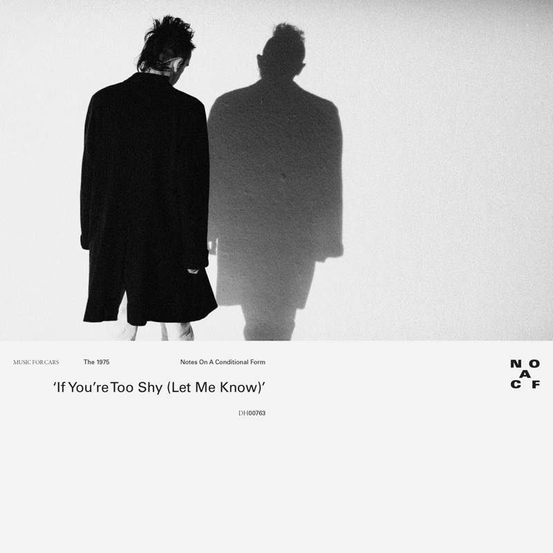 The 1975 - If You're Too Shy (Let Me Know)