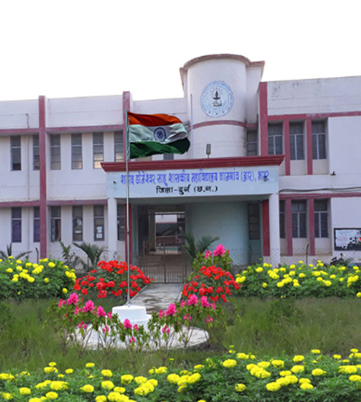 Shahid Domeshwar Sahu Government College, Durg Image