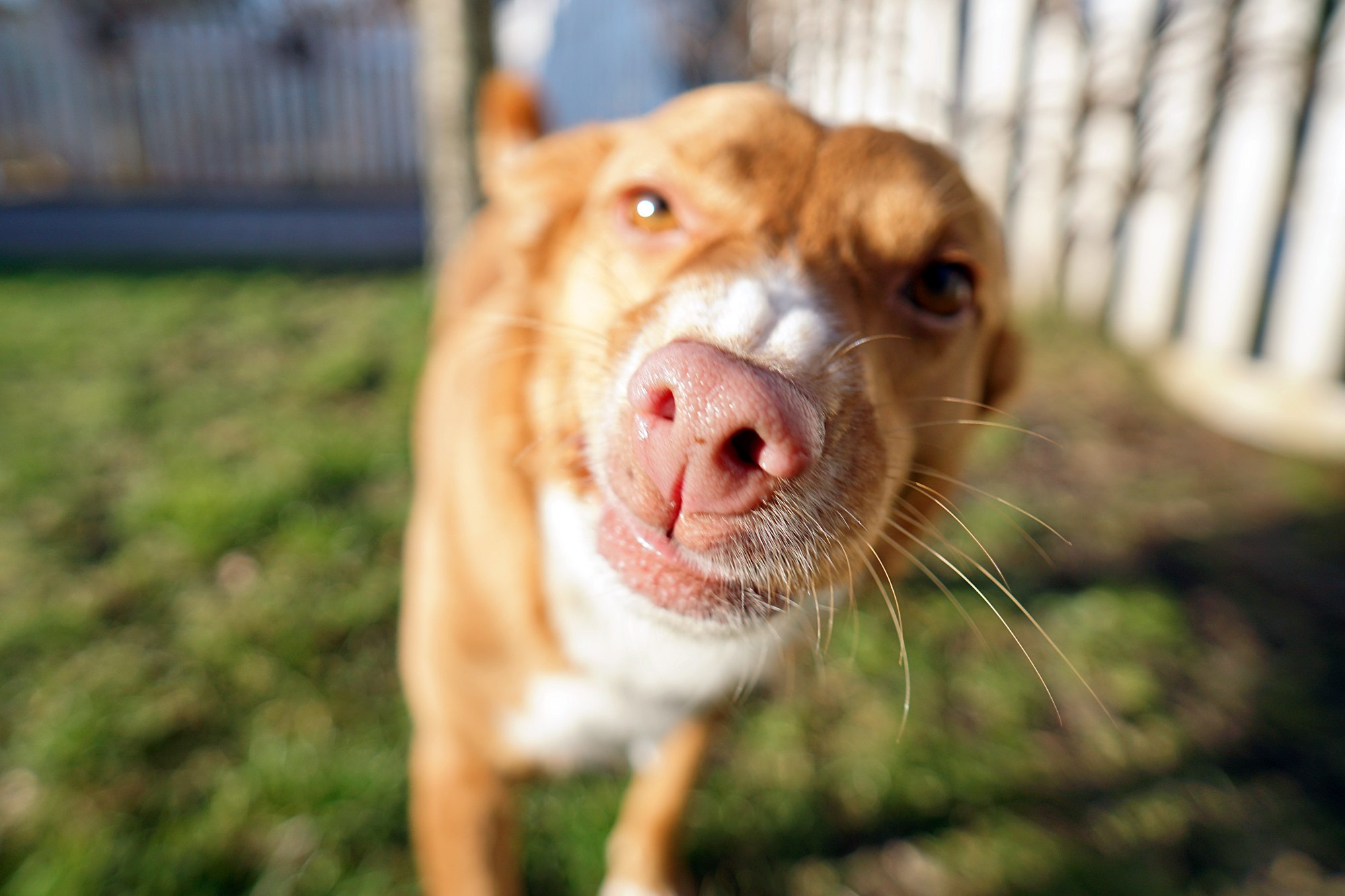 Samyang AF 12mm F2 E Smile