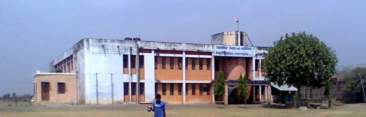 Government College, Nasrullaganj Image