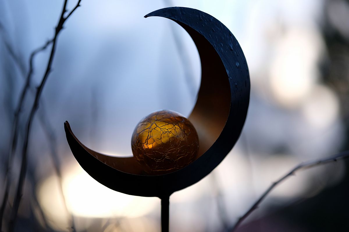 Sigma 56mm F1.4 DC DN Sunset 2 Full