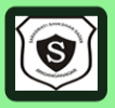 Saraswati Shikshan Women Teacher's Training College, Sriganganagar
