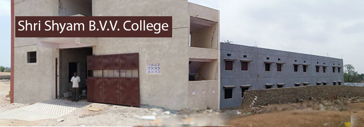 Shri Shyam BVV College, Banswara Image