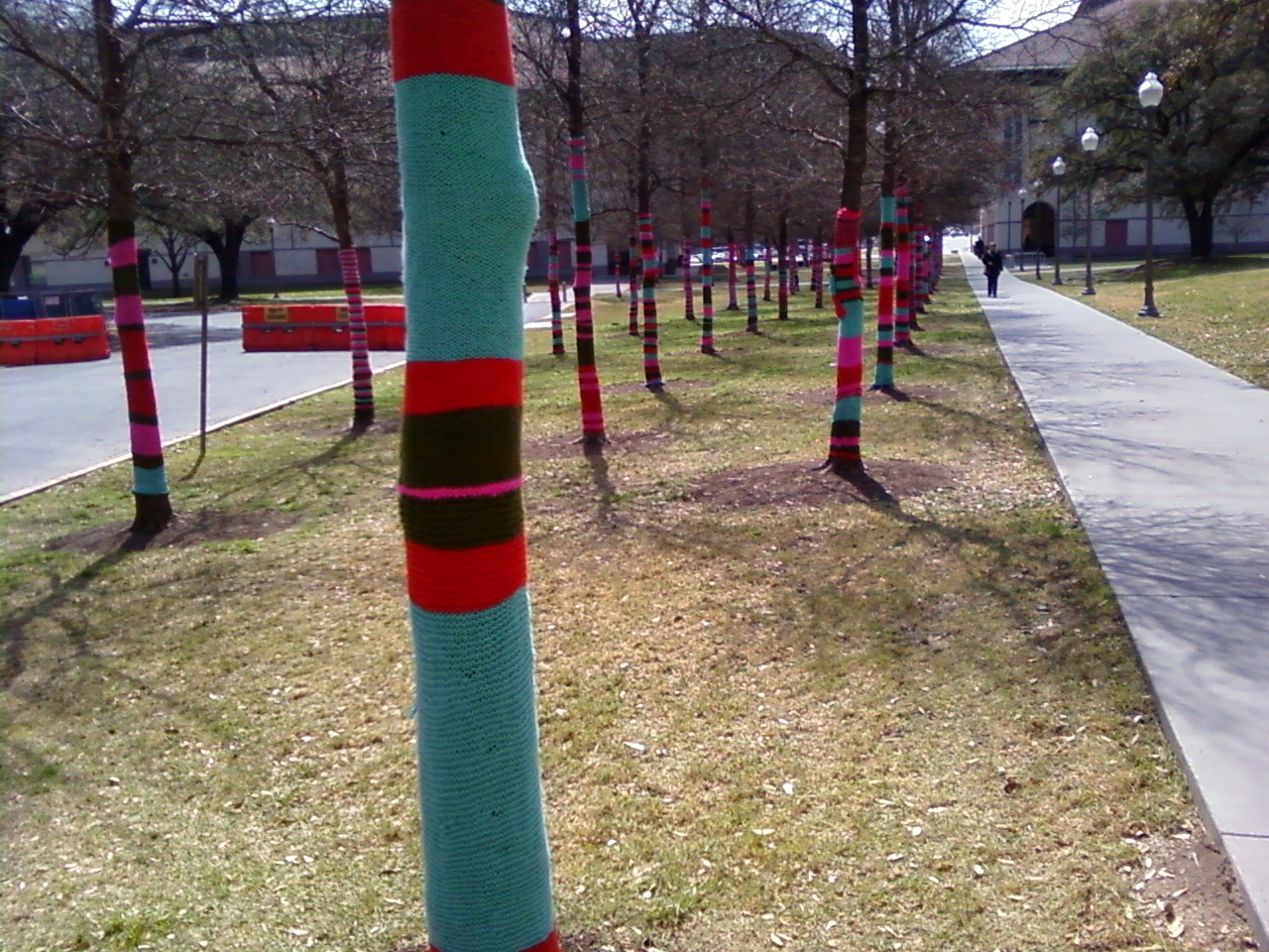 The yarn trees