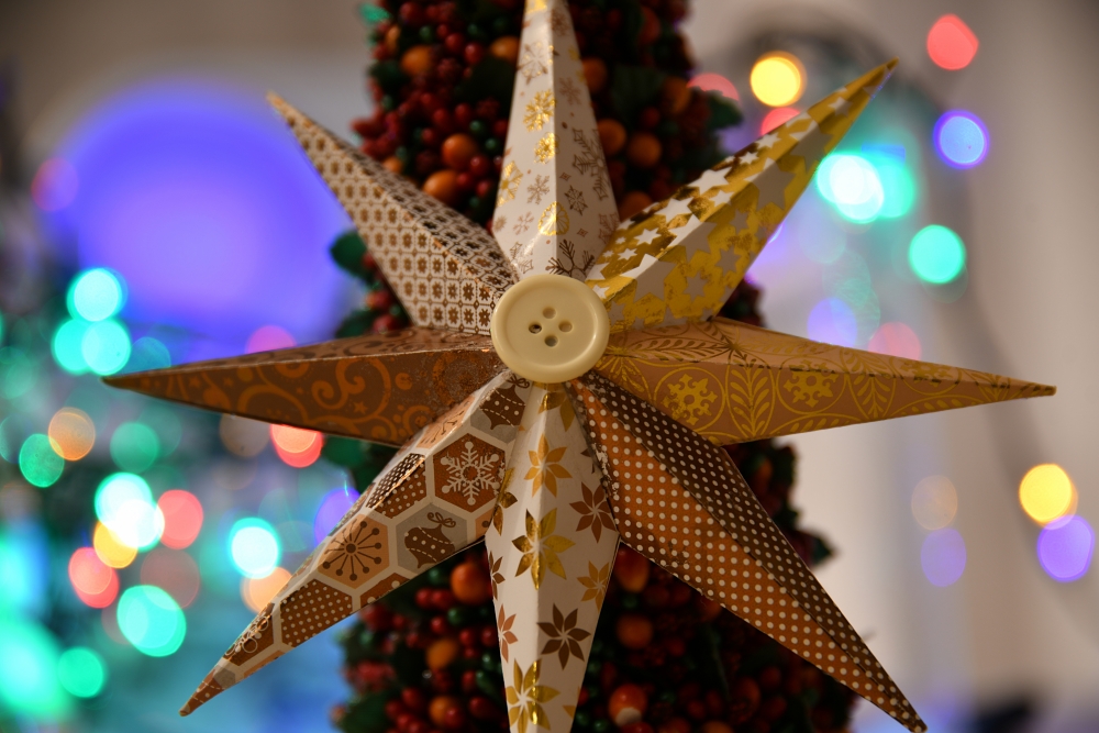 Sigma 24 105mm F4 DG OS HSM Nikon D850 Bokeh