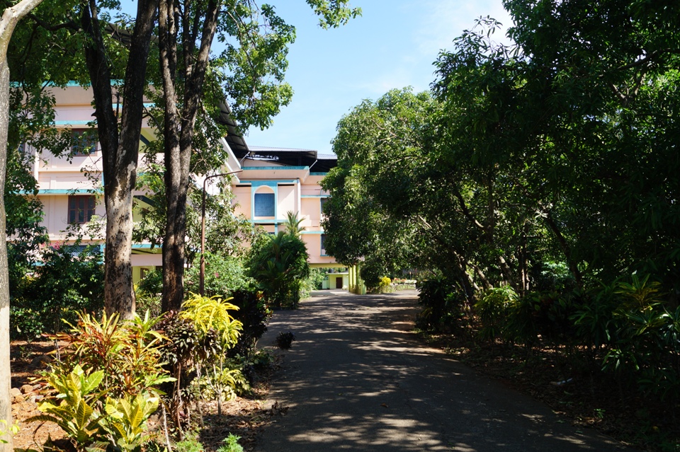Mother Arts and Science College, Thrissur Image