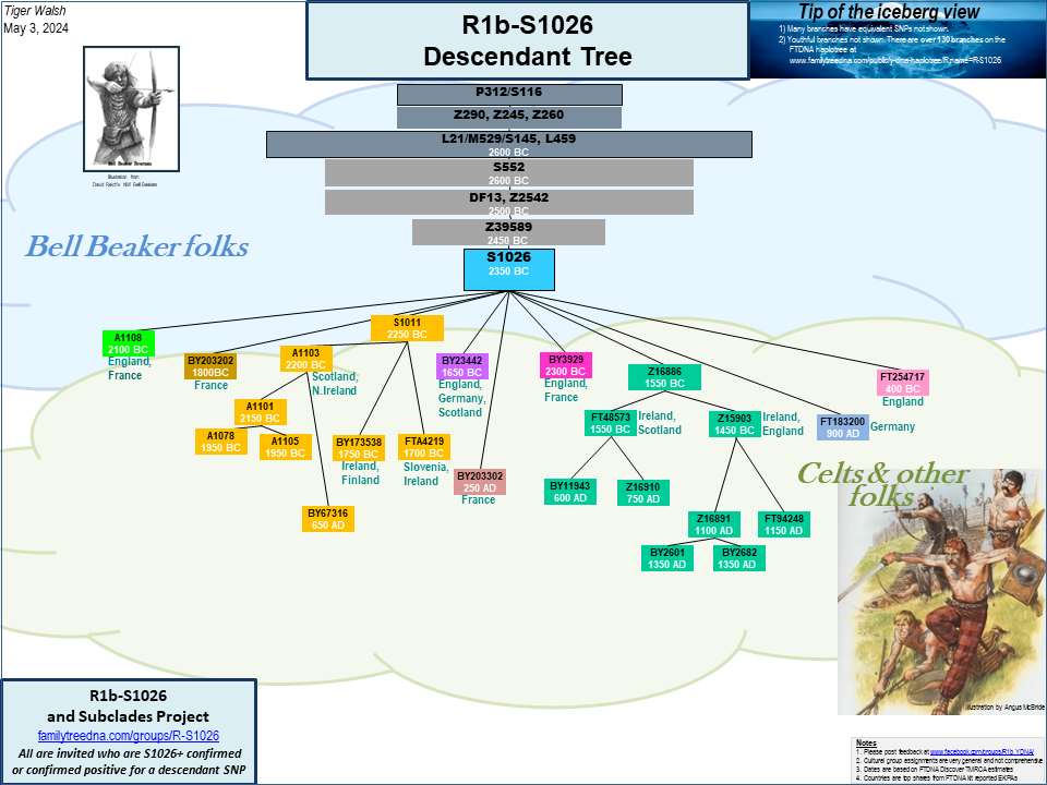 R1b-S1026 Descendant Tree