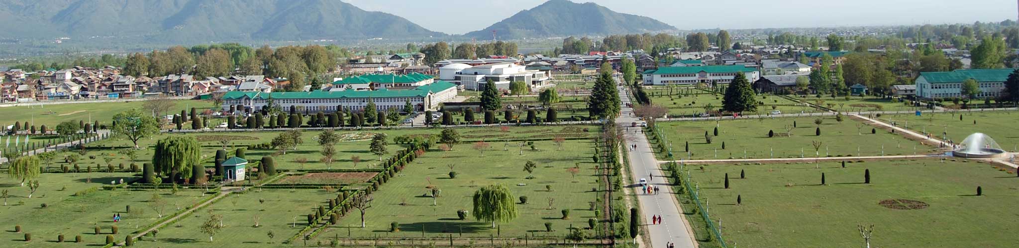 Institute of Music and Fine Arts, Srinagar Image