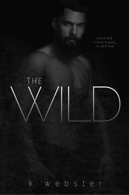 Dark romance The Wild by K Webster