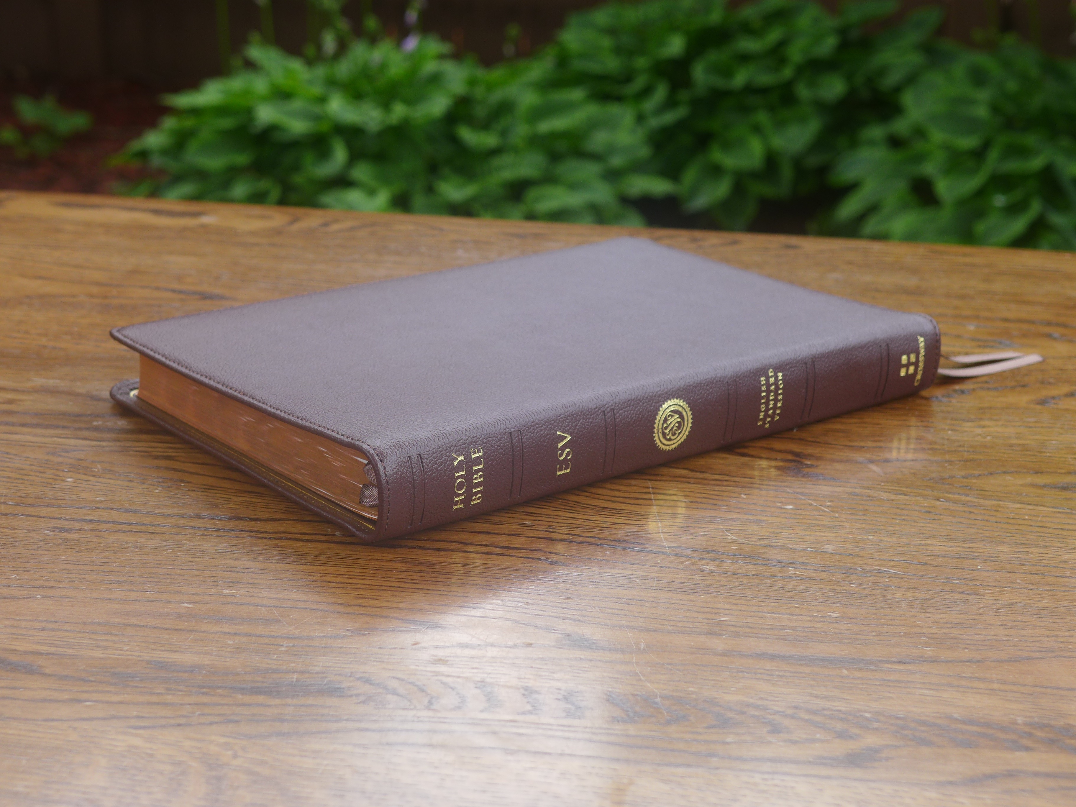 ESV Heirloom Thinline Bible in Brown Calfskin (Crossway) Holy Writ