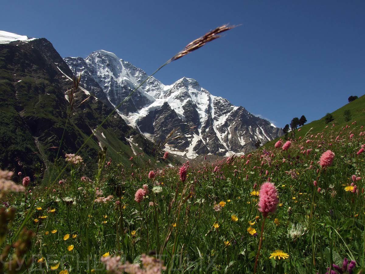 mountain-elbrus