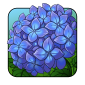 hydrangea3.png