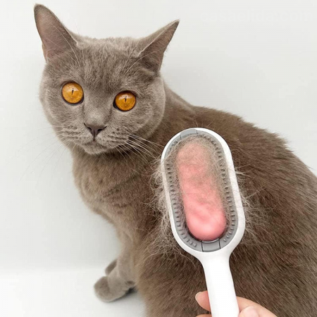Cepillo masajeador para mascota rosado, 19cm