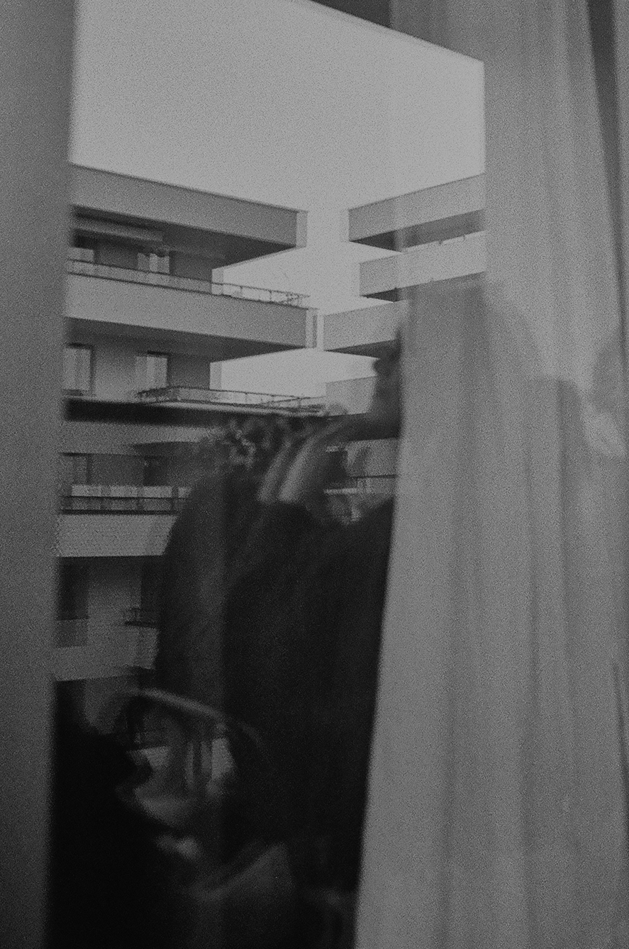 Spacer z małpami - Contax T2 i T3