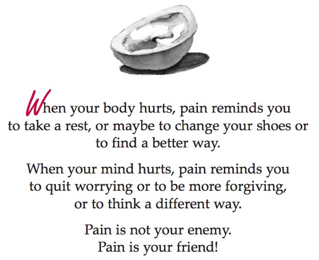 cover-image Pain is not your enemy