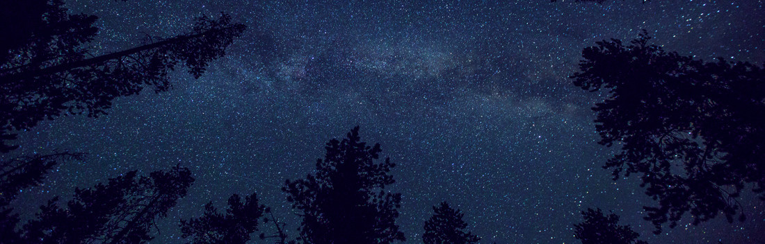 Uma voz partilha um segredo na quietude do céu estrelado