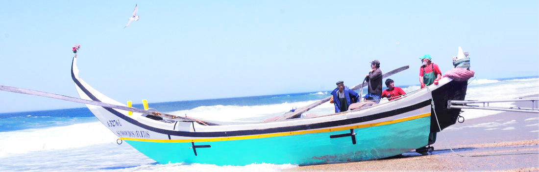 Um barco na praia onde as gaivotas voam