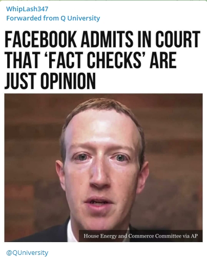 FACEBOOK ADMITS IN COURT THAT FACT CHECKS ARE JUST OPINION Conspiracy