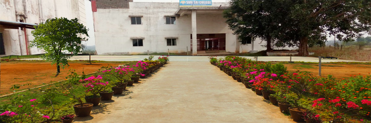 Shri Sai B.Ed. College, Durg Image