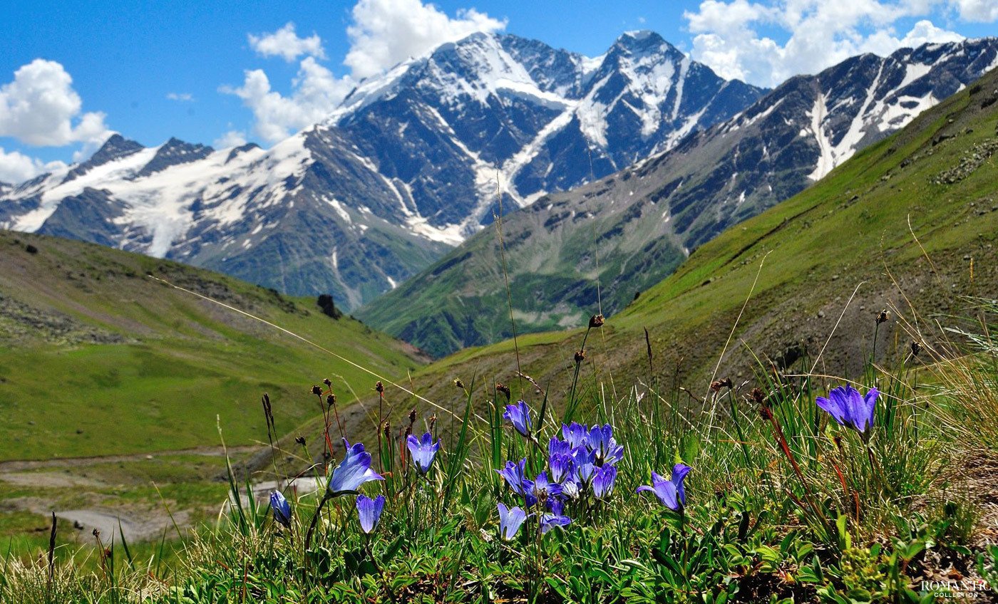 mountain-elbrus