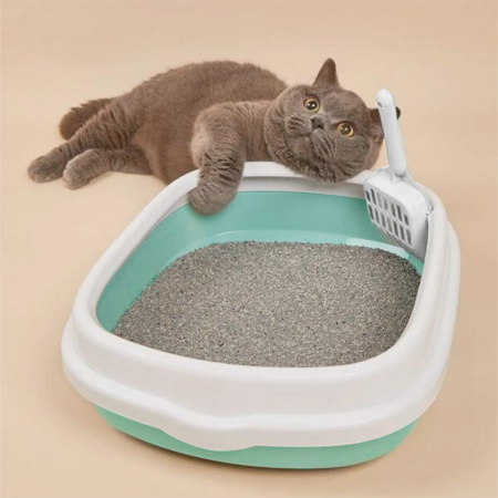 Arenero para gato  verde/blanco, 13x47x39cm