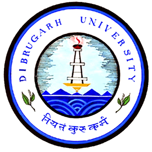 Dibrugarh University Institute Of Engineering And Technology